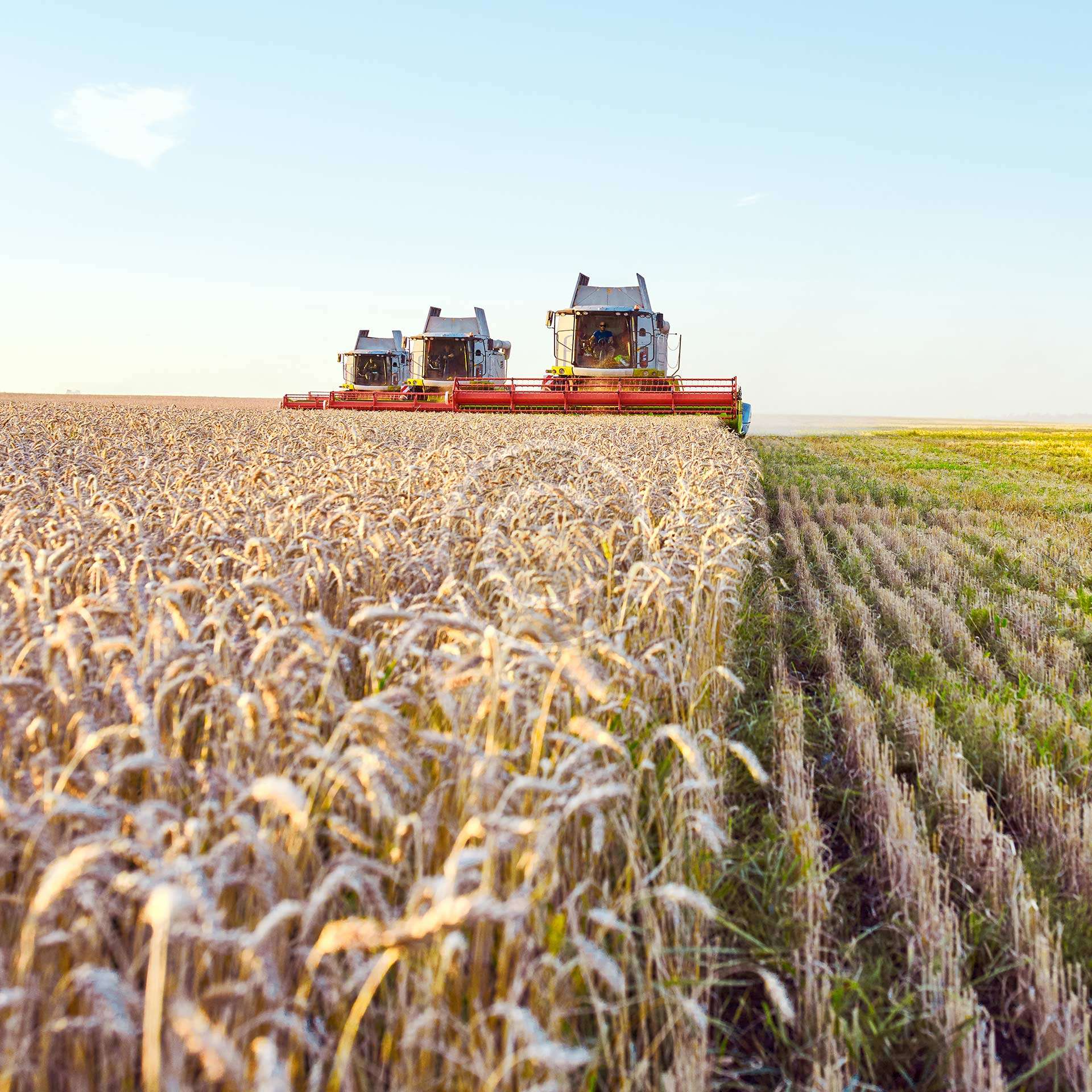 Private Farm Tours & Educational Visits